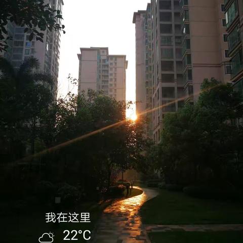 天伦之乐的90天