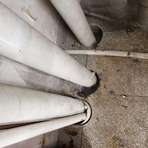 食品安全封堵鼠洞整改对比图片