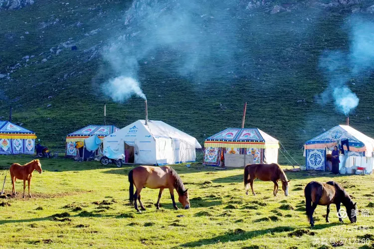 闲云野鹤㉑丨春风徐来蹄声急——写在丙午马年来临之际