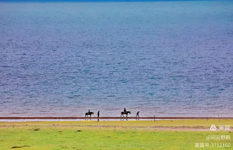 闲云野鹤㉑丨春风徐来蹄声急——写在丙午马年来临之际
