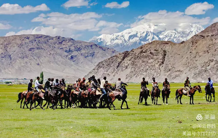 闲云野鹤㉑丨春风徐来蹄声急——写在丙午马年来临之际