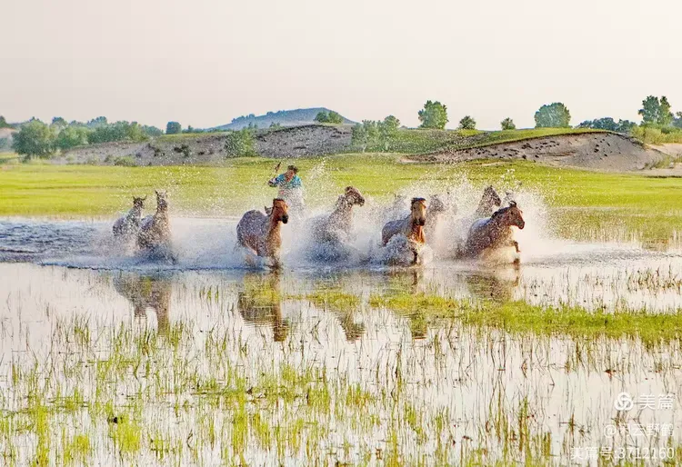 闲云野鹤㉑丨春风徐来蹄声急——写在丙午马年来临之际