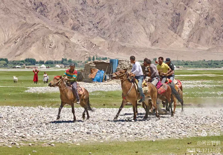 闲云野鹤㉑丨春风徐来蹄声急——写在丙午马年来临之际
