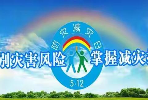 岭北小学 防灾减灾活动总结