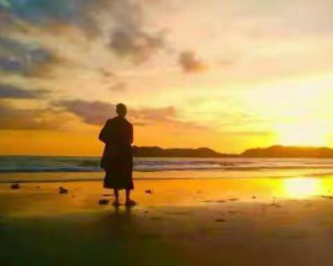 有一种美叫：静默如初