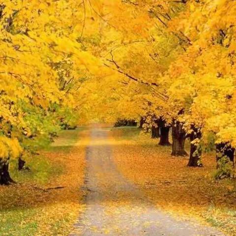 再见十月       再见晚秋