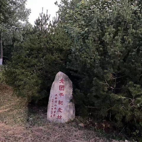 周村区组织学生参加“奔跑吧·少年”2023年山东省中小学生健康体重夏令营活动（二）