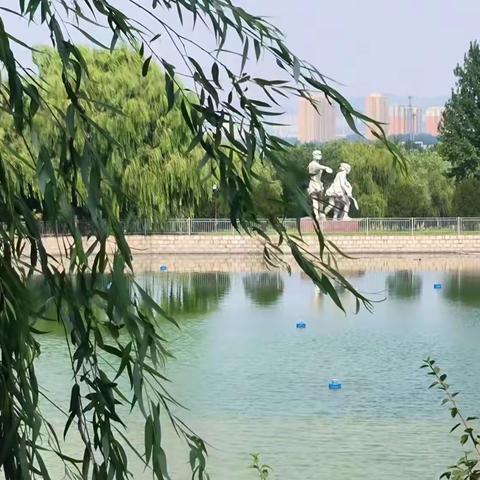 周村区组织学生参加“奔跑吧·少年”2023年山东省中小学生健康体重夏令营活动（一）
