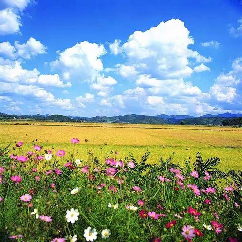 牛山街道张谷幼儿园空中课堂第三十九期———小班