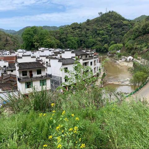 婺源、武夷山之旅（二）