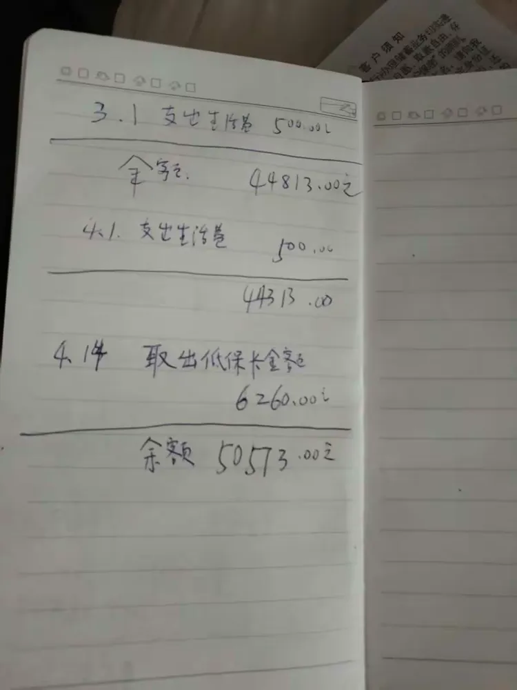 老母亲生活费用流水帐