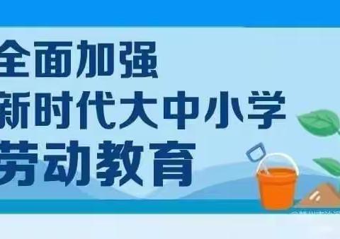 丛台小学——“劳动最光荣五个一”劳动技能实践活动