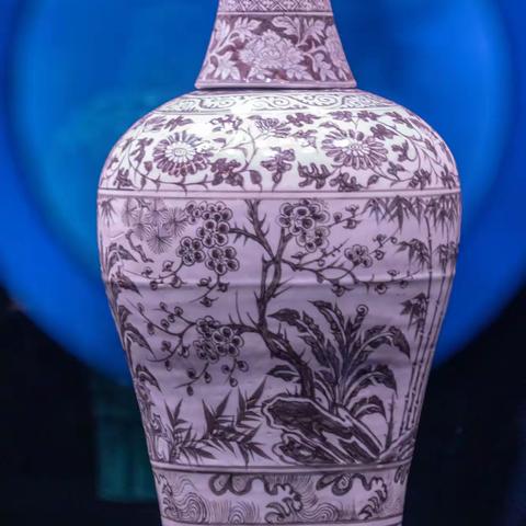 《江淮撷珍》--南京博物院与安徽博物院见闻