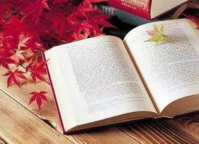 人生因阅读而精彩—南蛮营小学四二班