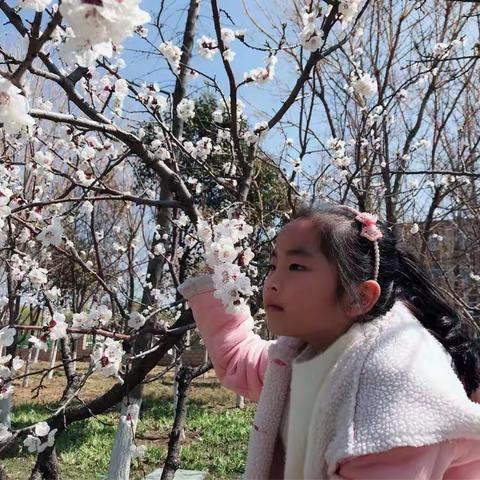 我和春天的故事