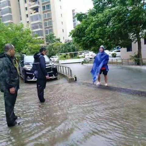 开启新时代文明实践新征程——博桂社区开展“防风防汛及灾后恢复工作”党员志愿者探访走访活动