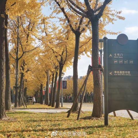 那年，那班，那些事（第一期下）                                                    初一十班