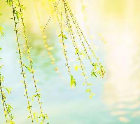 那年，那班，那些事（上）