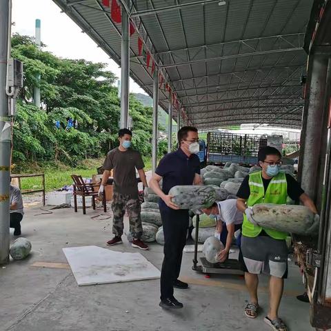 抗疫有力量，后勤有保障——菜篮子党支部一直在路上