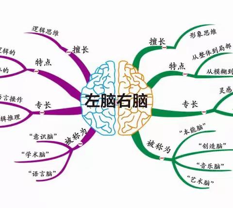 【教研活动】思维导图在学科教学中的实践与运用﻿——清华附中文昌学校（小学部）2022年寒假教师研修活动