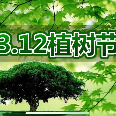 ❤️昌安未来幼儿园大四班“植树节”🌲主题教育活动❤️