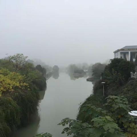 11.27扬州～瘦西湖景色篇