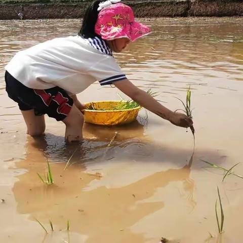 五一劳动节——劳动中成长