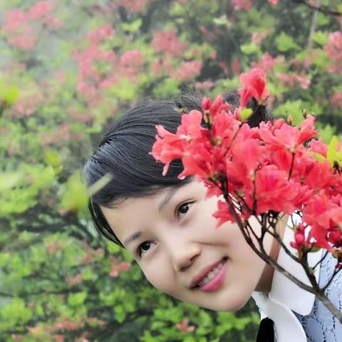 大围山的杜鹃花儿开