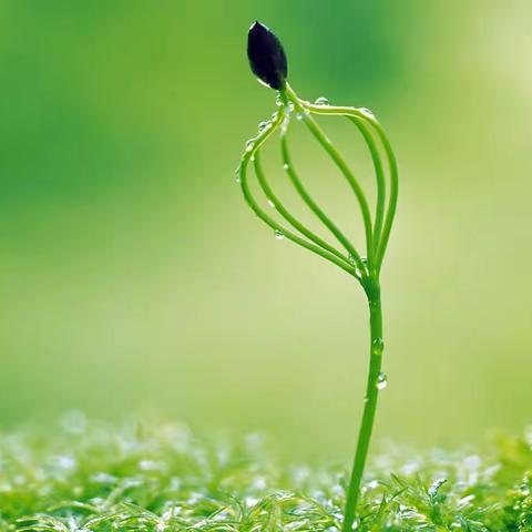 感恩成长   “拾”光远航———大桥小学2023年三年级“十岁成长礼”