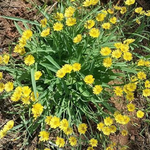 保卫南疆防御作战回忆录——越战老兵  谷新国