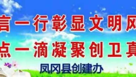 创建办组员对病媒生物防制工作市级评估存在问题整改情况开展复查（第六期）