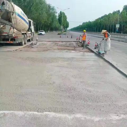 整治市政园林环境  助力城市品质提升