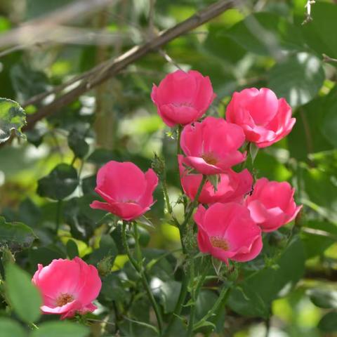 爷爷就是爷爷，不要装孙子