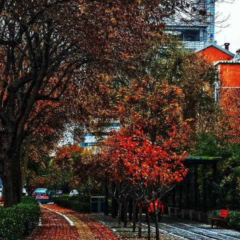 美的背后，永远存在真善美