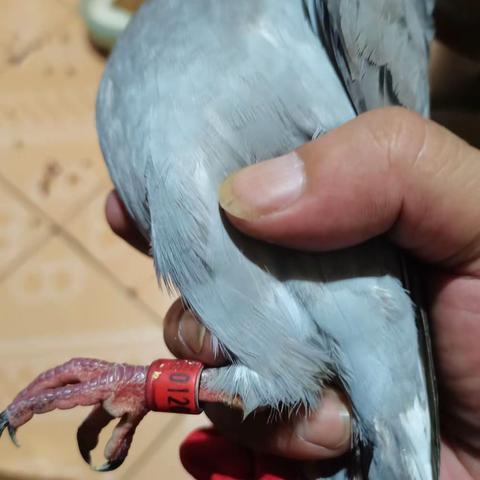 於心不忍，不是您不是我