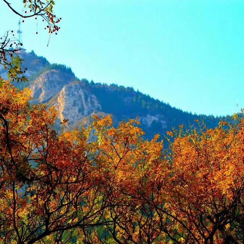 新的一天，登山修养