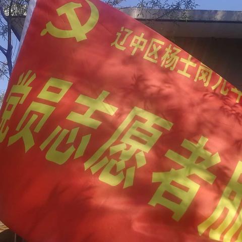 抗击疫情，清洁沈阳·志愿者在行动---杨士岗社区党员干部义务清洁校园