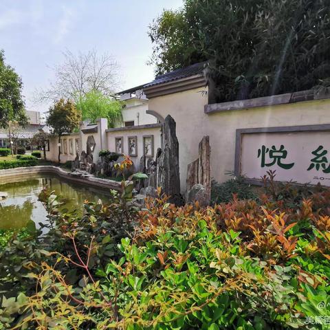 【启悦德育】打造洁美校园 共享美好环境——东环小学“晒拖把展亮点活动”