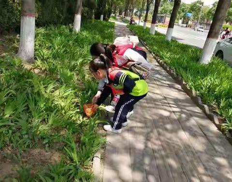 东环小学开展“减塑行动，从我做起”系列活动