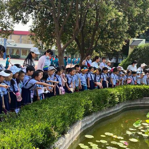 【启悦德育】花开有时 衔接有度----东环小学总校区迎接焦作市第三幼儿园小朋友来校参观