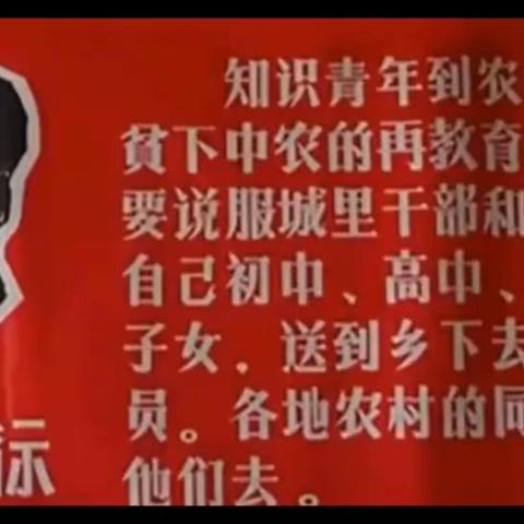 临县碛口香草港下乡48周年联欢纪念掠影