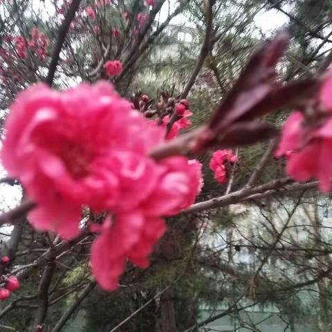 竹叶青青的美篇