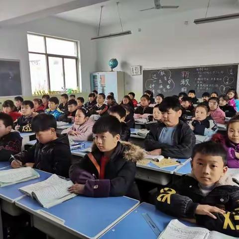 【仓头镇中心小学  刘亚林】做幸福的引路人