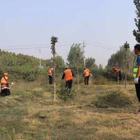 打造优美县级路，共迎美丽国庆周