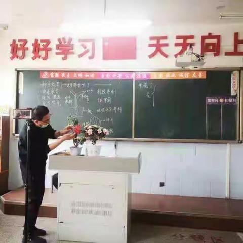 疾风知劲草  疫情显担当——朝阳街小学英语、科学、道德与法治学科线上教学纪实