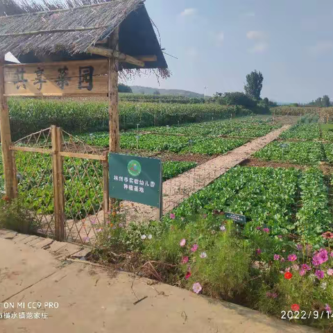 绿色生态《共享菜园》邀请函