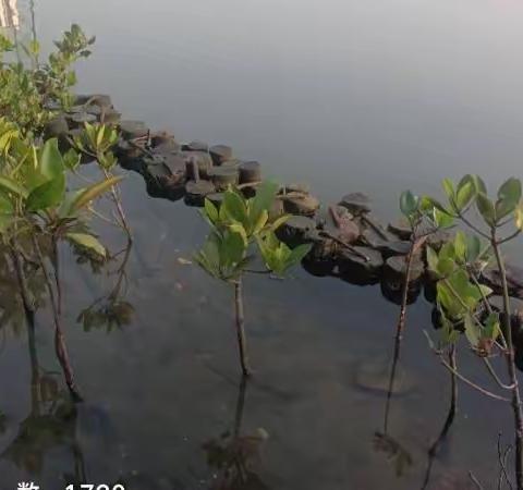 琼山区水体治理运营情况（2023年3月2日 ）