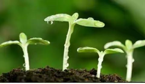 播种希望 收获成长