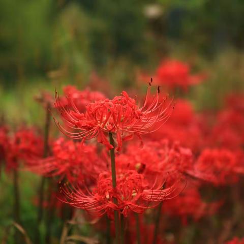 10月茫荡山