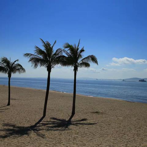 厦门海岸蓝